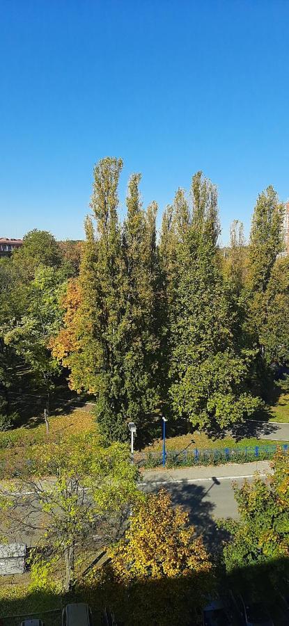 Apartment Student City, Wifi 300Mbs Belgrade Exterior photo