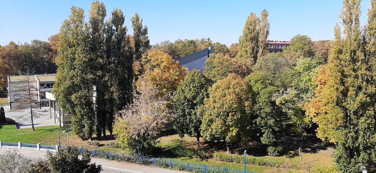 Apartment Student City, Wifi 300Mbs Belgrade Exterior photo